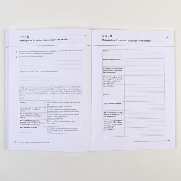 Produktbild: Therapie-Tools Angstst&ouml;rungen