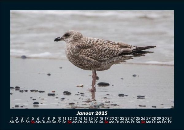Produktbild: Vogelparadies 2025 Fotokalender DIN A5