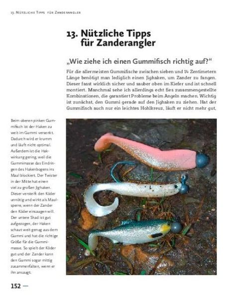 Produktbild: Faszination Zanderangeln