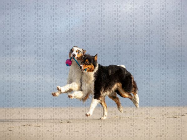 Produktbild: CALVENDO Puzzle Zu Zweit geht alles besser! 1000 Teile Lege-Gr&ouml;&szlig;e 640 x 480 cm Foto-Puzzle Bild von Annett Mirsberger