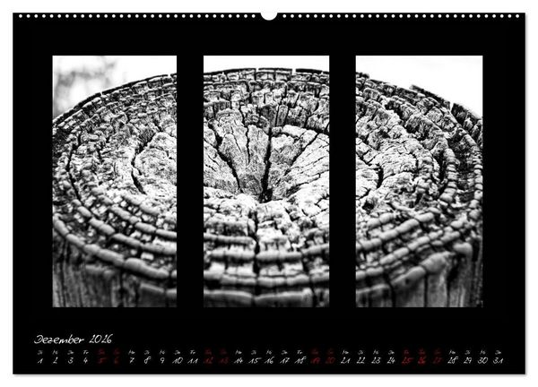 Produktbild: Die Kunst der Natur - Dreifach Stilvoll (Wandkalender 2026 DIN A2 quer), CALVENDO Monatskalender