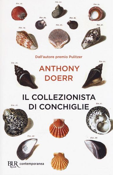 Produktbild: Il collezionista di conchiglie