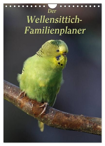 Produktbild: Der Wellensittich-Familienplaner (Wandkalender 2026 DIN A4 hoch), CALVENDO Monatskalender