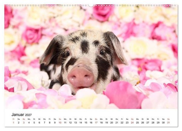 Produktbild: lach mit...just smile (hochwertiger Premium Wandkalender 2027 DIN A2 quer), Kunstdruck in Hochglanz