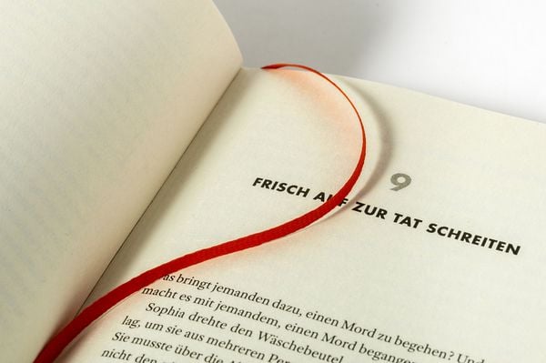 Produktbild: Filmriss auf Immenhof