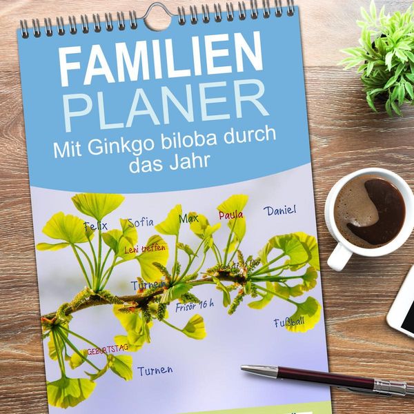 Produktbild: Familienplaner 2026 - Mit Ginkgo biloba durch das Jahr mit 5 Spalten (Wandkalender, 21 x 45 cm) CALVENDO
