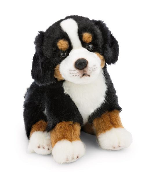 Kuscheltier Hund Berner Sennenhund 20cm