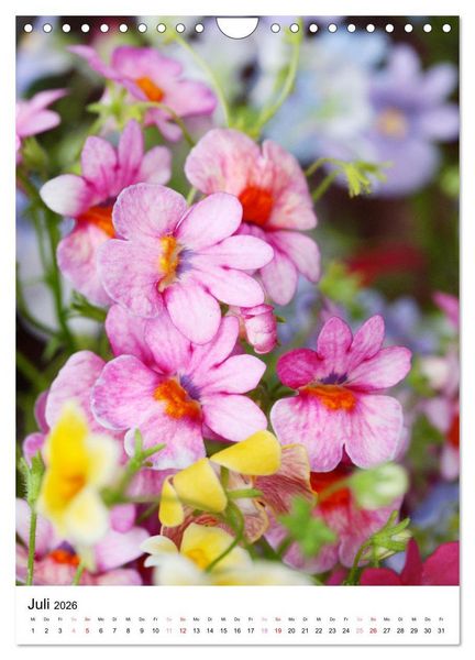 Produktbild: Ein Jahr voller Blumen (Wandkalender 2026 DIN A4 hoch), CALVENDO Monatskalender