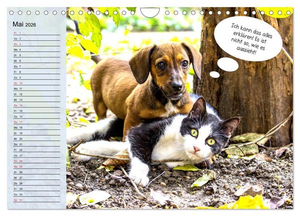Produktbild: Hurra! Wir gehen Gassi! Abenteuer mit dem Hund! (Wandkalender 2026 DIN A4 quer), CALVENDO Monatskalender