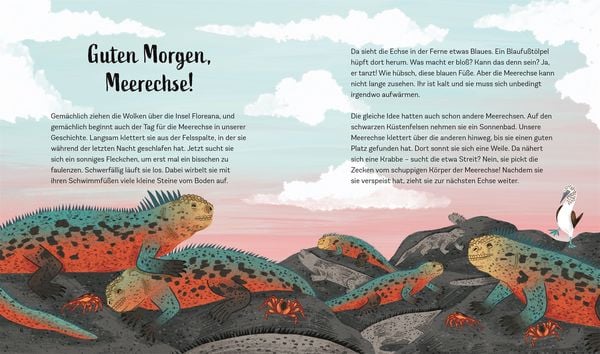 Produktbild: Tiergeschichten zum Tr&auml;umen. Zauber des Meeres
