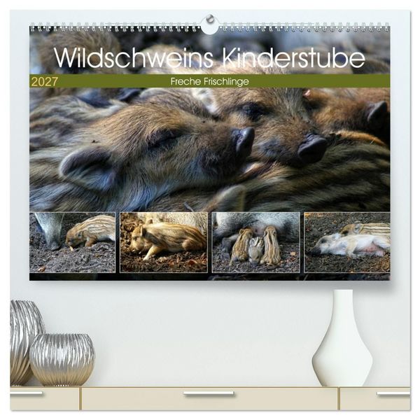 Produktbild: Wildschweins Kinderstube - Freche Frischlinge (hochwertiger Premium Wandkalender 2027 DIN A2 quer), Kunstdruck in Hochglanz