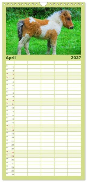 Produktbild: Familienplaner 2027 - Ponys. Herzensbrecher mit Grips mit 5 Spalten (Wandkalender, 21 x 45 cm) CALVENDO