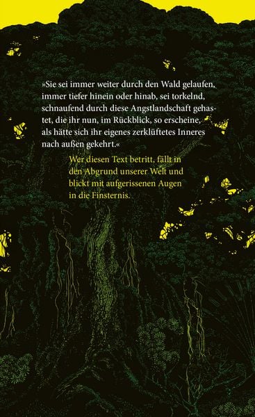 Produktbild: Die Holl&auml;nderinnen