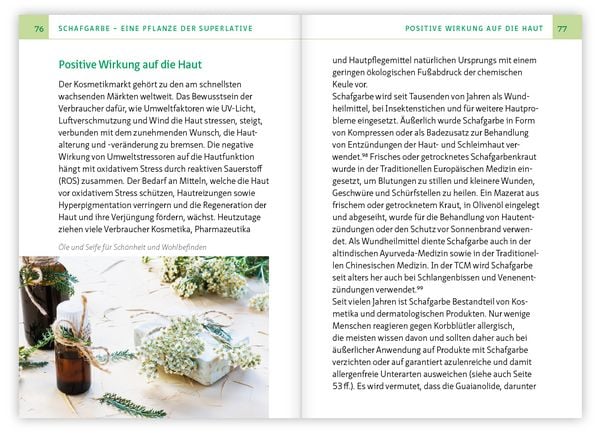 Produktbild: Die Schafgarbe &ndash; Allesk&ouml;nnerin unter den Heilpflanzen