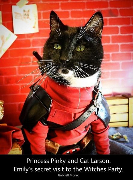 Produktbild: Princess Pinky and Cat Larson. Emily's secret visit to the Witches Party.