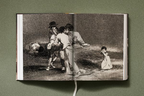 Produktbild: Goya