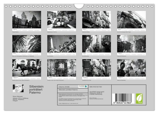 Produktbild: Silberstein portr&auml;tiert Palermo (Wandkalender 2026 DIN A4 quer), CALVENDO Monatskalender