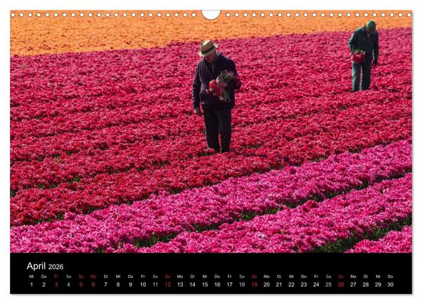 Produktbild: Ein fotografischer Streifzug durch Holland (Wandkalender 2026 DIN A3 quer), CALVENDO Monatskalender