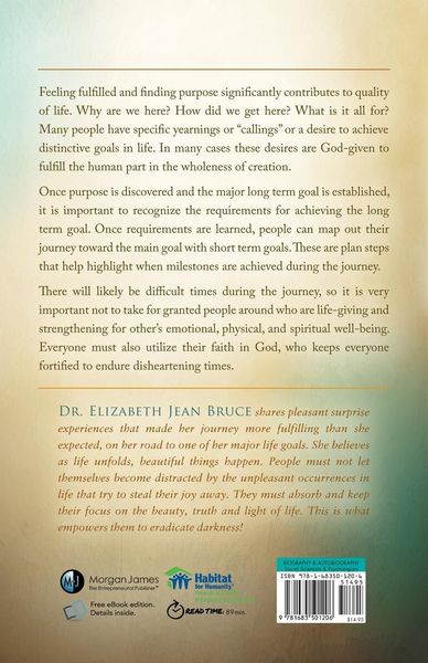 Produktbild: The Undeniable Favor of God
