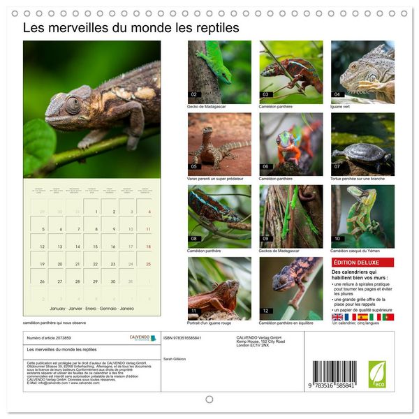 Produktbild: Les merveilles du monde les reptiles (Calendrier mural carr&eacute; 2026 30x30 cm) Calendrier double avec une page pour vos prises de notes