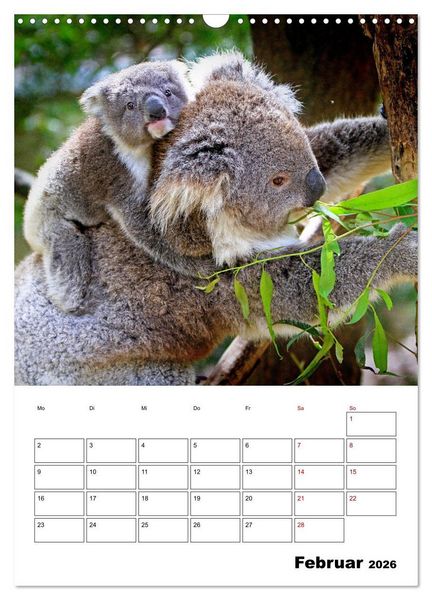 Produktbild: Australiens faszinierende Tierwelt (Wandkalender 2026 DIN A3 hoch), CALVENDO Monatskalender