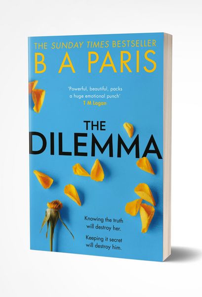 Produktbild: Dilemma Pb