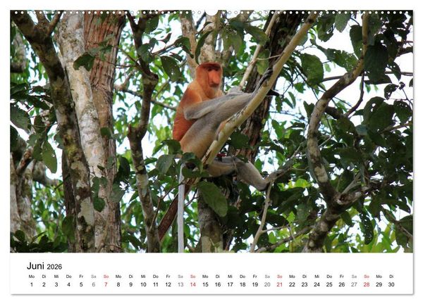 Produktbild: Highlights einer Weltreise (Wandkalender 2026 DIN A2 quer), CALVENDO Monatskalender