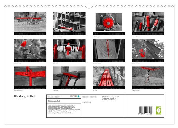 Produktbild: Blickfang in Rot (Wandkalender 2026 DIN A3 quer), CALVENDO Monatskalender
