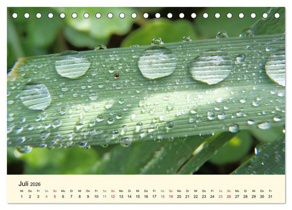 Produktbild: Kraftquelle Gr&uuml;n (Tischkalender 2026 DIN A5 quer), CALVENDO Monatskalender