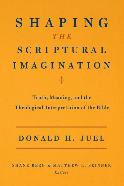 Produktbild: Shaping the Scriptural Imagination