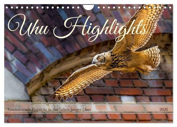Produktbild: Uhu Highlights (Wandkalender 2026 DIN A4 quer), CALVENDO Monatskalender