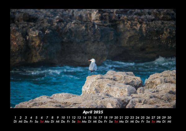 Produktbild: Sehnsucht nach Meer 2025 Fotokalender DIN A3