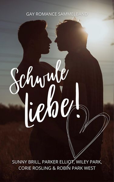 Produktbild: Schwule Liebe!