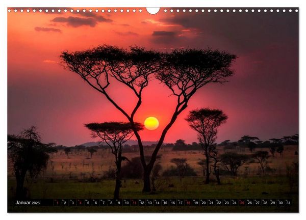 Produktbild: Afrikas B&auml;ume (Wandkalender 2026 DIN A3 quer), CALVENDO Monatskalender