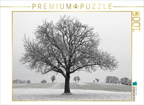 Produktbild: CALVENDO Puzzle Dezember | 1000 Teile Lege-Gr&ouml;&szlig;e 64x48cm Foto-Puzzle f&uuml;r gl&uuml;ckliche Stunden