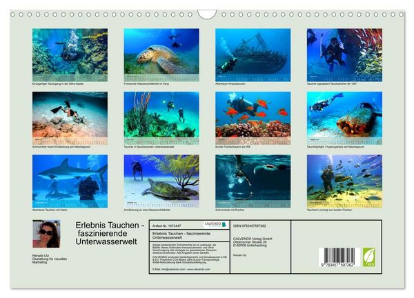 Produktbild: Erlebnis Tauchen - faszinierende Unterwasserwelt (Wandkalender 2026 DIN A3 quer), CALVENDO Monatskalender