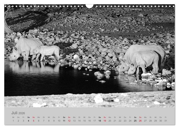 Produktbild: Die Seelen der wilden Tiere (Wandkalender 2026 DIN A3 quer), CALVENDO Monatskalender