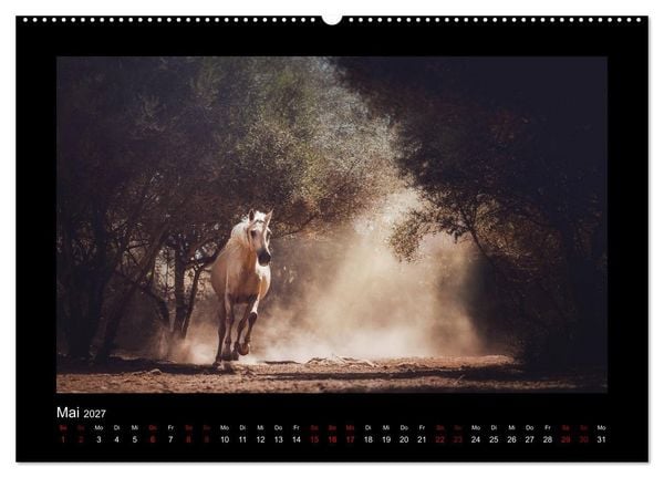 Produktbild: Die Faszinierende Welt der Pferde (hochwertiger Premium Wandkalender 2027 DIN A2 quer), Kunstdruck in Hochglanz