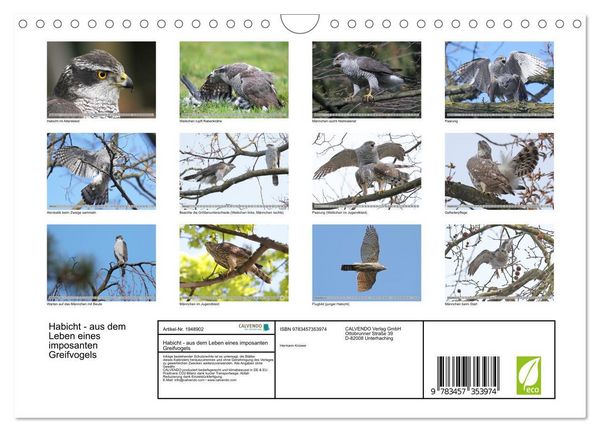 Produktbild: Habicht - aus dem Leben eines imposanten Greifvogels (Wandkalender 2026 DIN A4 quer), CALVENDO Monatskalender