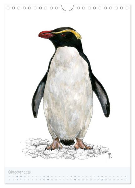Produktbild: Pinguine - 13 Illustrationen (Wandkalender 2026 DIN A4 hoch), CALVENDO Monatskalender