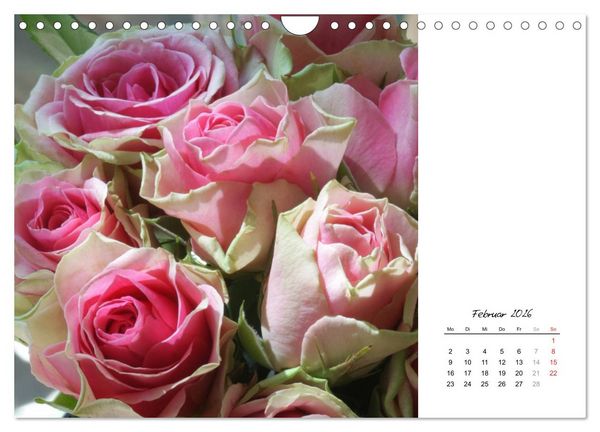 Produktbild: Die vielen Gesichter der Rosen (Wandkalender 2026 DIN A4 quer), CALVENDO Monatskalender