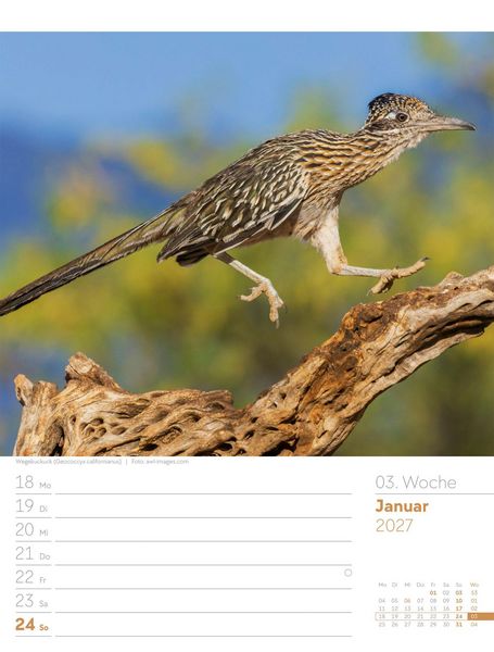 Produktbild: V&ouml;gel Wochenplaner Kalender 2027