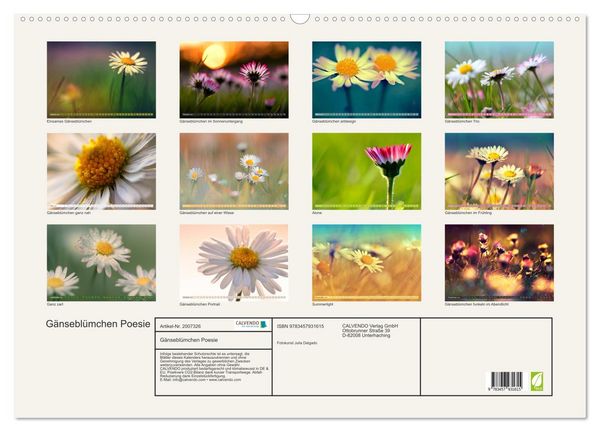 Produktbild: G&auml;nsebl&uuml;mchen Poesie (Wandkalender 2026 DIN A2 quer), CALVENDO Monatskalender