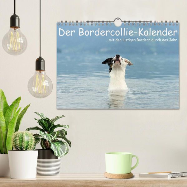 Produktbild: Der Bordercollie-Kalender (Wandkalender 2026 DIN A4 quer), CALVENDO Monatskalender