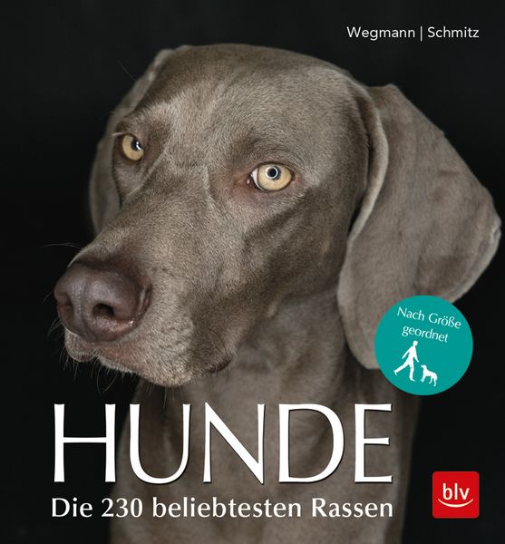 Produktbild: Hunde