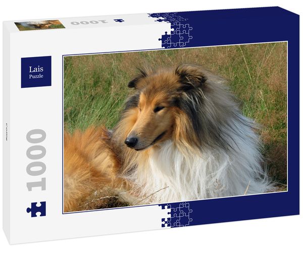 Produktbild: Lais Puzzle Collie 1000 Teile