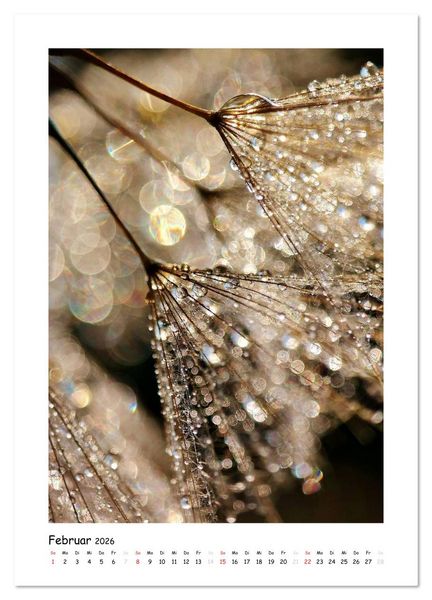 Produktbild: Die Pusteblume neu erleben (Wandkalender 2026 DIN A3 hoch), CALVENDO Monatskalender