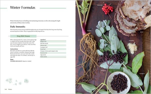Produktbild: The Herbal Year