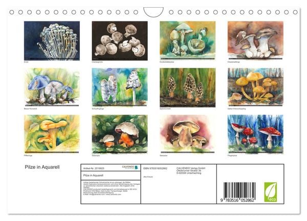 Produktbild: Pilze in Aquarell (Wandkalender 2026 DIN A4 quer), CALVENDO Monatskalender