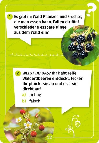 Produktbild: Expedition Natur Mein Wald-Forscherquiz